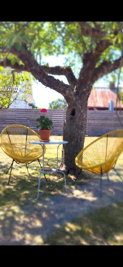 كْريخانستاد Bambina'S Guest House المظهر الخارجي الصورة